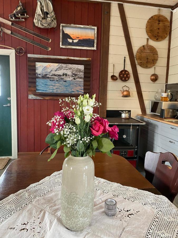 Kraemarvika Lodge ทรอมโซ ภายนอก รูปภาพ