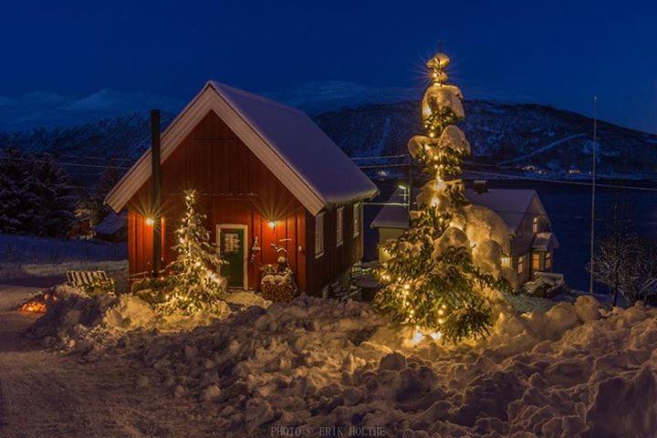 Kraemarvika Lodge ทรอมโซ ภายนอก รูปภาพ