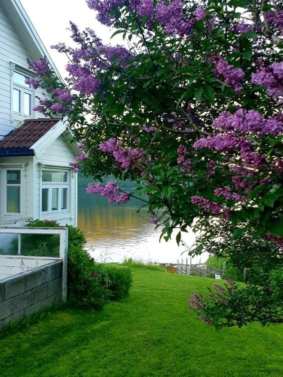 Kraemarvika Lodge ทรอมโซ ภายนอก รูปภาพ