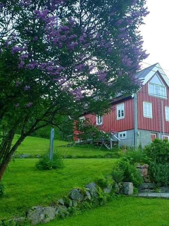 Kraemarvika Lodge ทรอมโซ ภายนอก รูปภาพ